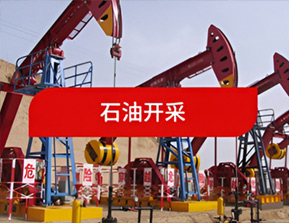 石油开采-盘锦和大实业有限公司